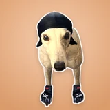 Candy the Greyhound avatar